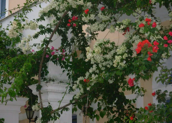 Louisa Poros (Kefalonia)