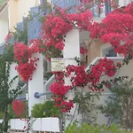 Louisa Πόρος